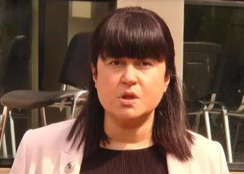 რატომ არ დაესწრო დღეს მთავრობის სხდომას ჯანდაცვის მინისტრი – თამარ გაბუნიას განმარტება