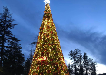 „ამ არჩევნების შედეგად ყველაფერი იქნება ხარისხიანი“ – ვინ დააფინანსა წალენჯიხის ნაძვის ხე?