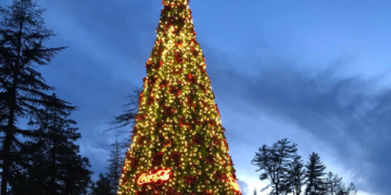 „ამ არჩევნების შედეგად ყველაფერი იქნება ხარისხიანი“ – ვინ დააფინანსა წალენჯიხის ნაძვის ხე?