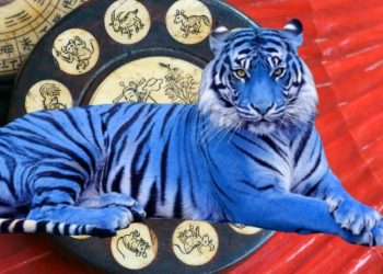 როგორი იქნება 2022 წელი ზოდიაქოს ნიშნებისთვის – ასტროლოგის პროგნოზი