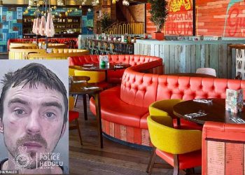 უელსში რესტორანში გასაქურდად შესულ ბოროტმოქმედს დივანზე ჩაეძინა