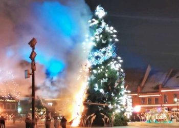 ლიეტუვაში კაცმა ქალაქის მთავარ ნაძვის ხეს ცეცხლი წაუკიდა