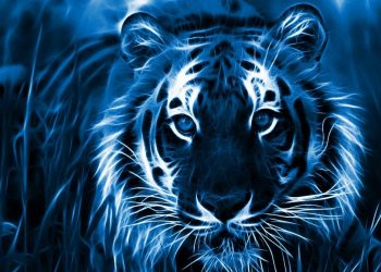 2022 წლის ჰოროსკოპი ზოდიაქოს ნიშნების მიხედვით – ვისთვის იქნება წარმატებული და იღბლიანი ვეფხვის წელი