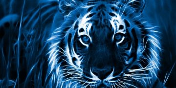 2022 წლის ჰოროსკოპი ზოდიაქოს ნიშნების მიხედვით – ვისთვის იქნება წარმატებული და იღბლიანი ვეფხვის წელი