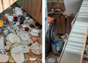 “მოგიყვებით, როგორ ჩამშხამდა ახალი წელი” – წერილი სოციალური ქსელიდან