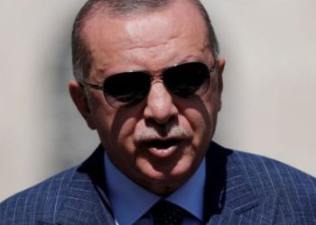 CNN: თურქი ჟურნალისტი ერდოღანის შეურაცხყოფის გამო დააკავეს