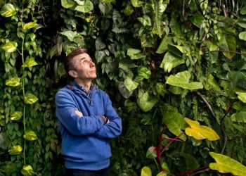 ხეების სიყვარული თუ ძალაუფლების დემონსტრირება? – რა მასალას აქვეყნებს NYT