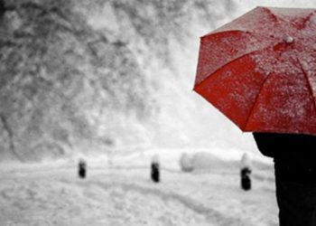 ძლიერი თოვა, ნისლი და ქარბუქი – საქართველოში ამინდი მკვეთრად გაუარესდება