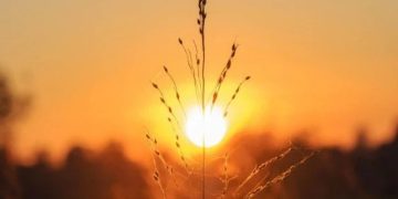 როდიდან დათბება საქართველოში