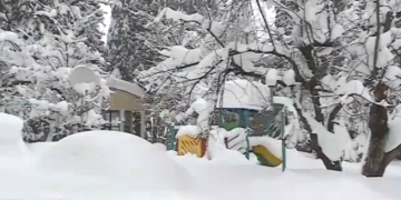 მაღალმთიან აჭარაში თოვლის საფარმა ორ მეტრს მიაღწია