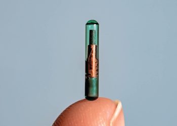 კონტრაქტი გაწყვეტილია – „აიპლუსი“ საქართველოში კანქვეშა ჩიპებს აღარ შემოიტანს