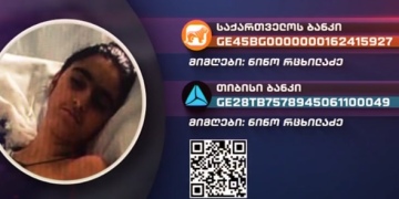 11 წლის ელენე ზაქაიძეს საზოგადოების დახმარება სჭირდება