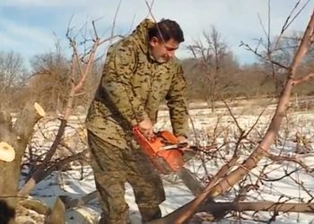 ამ ხეს კი არა, საკუთარ მარჯვენას უნდა ვიჭრიდე, 2012 წელს ივანიშვილს რომ მივეცი ხმა – ერგნეთში მოსახლეობამ ვაშლის ბაღების გაჩეხვა დაიწყო