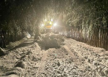 გურიაში თოვა გრძელდება – მაღალმთიან სოფლებში თოვლის საფარი ერთ მეტრს აღწევს