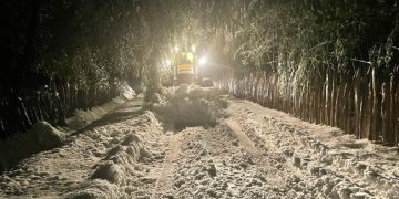 გურიაში თოვა გრძელდება – მაღალმთიან სოფლებში თოვლის საფარი ერთ მეტრს აღწევს