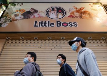 ჩინეთში 2 000 ზაზუნას დახოცავენ, რადგან 11 მათგანს კოვიდ19 დაუდასტურდა – “ჰუმანურად” მოვკლავთ”