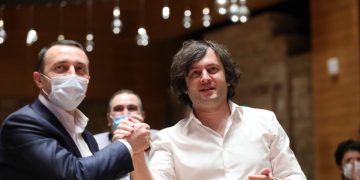 რასაც ეძახიან ტყის მასივს, ეს არის სულ რამდენიმე ხე – კობახიძე ღარიბაშვილის ცოლისთვის გადაცემულ ტყეზე