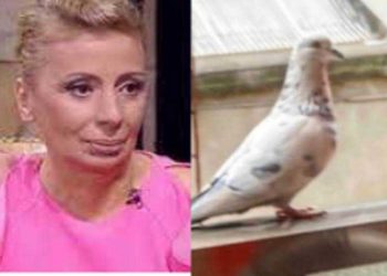 ნატო დუმბაძე: ,,დამთხვევას ვეღარ დავარქმევ, მართლა არ ვიცი”