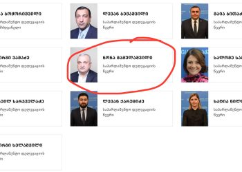 საქართველოს პარლამენტი ლატარიას მაინც გამოართვით ჩემი ფოტოები? – ნონა მამულაშვილი