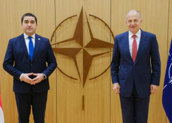 შალვა პაპუაშვილი ბრიუსელში ნატო-ს გენერალური მდივნის მოადგილეს შეხვდა