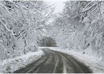 ნაქერალას უღელტეხილზე მისაბმელიანი და ნახევრადმისაბმელიანი ავტოტრანსპორტის გადაადგილება აკრძალულია