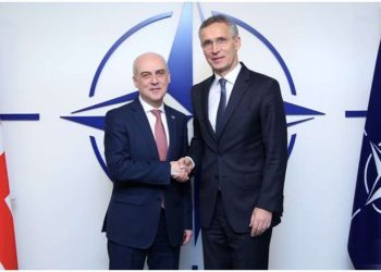 დავით ზალკალიანი დღეს ნატოს გენერალურ მდივანს შეხვდება
