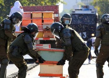 ჩილეში მეფუტკრეების აქციაზე, აქტივისტების დაკავების დროს, ფუტკრებმა პოლიციელები დაკბინეს