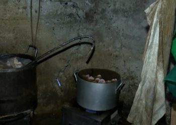 კრიტიკული შეუსაბამობების გამო, თბილისში ბიზნესოპერატორი დაჯარიმდა და შეუჩერდა საწარმოო პროცესი – სურსათის ეროვნული სააგენტო