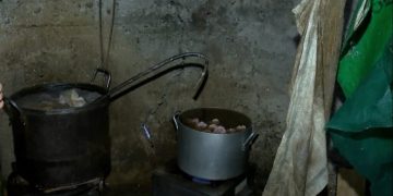 კრიტიკული შეუსაბამობების გამო, თბილისში ბიზნესოპერატორი დაჯარიმდა და შეუჩერდა საწარმოო პროცესი – სურსათის ეროვნული სააგენტო