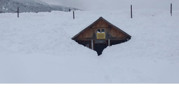 სოფელ დანისპარაულის სკოლის შენობა მთლიანად თოვლმა დაფარა