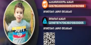 პატარა სოსოს საზოგადოების დახმარება სჭირდება