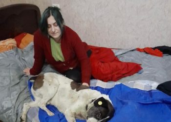 (ვიდეო) – “ძაღლი რომელსაც მსოფლიო იცნობს, სიკვდილს ებრძვის ქართველი ნაბი@ვრის გამო!” – ტასო ლოსაბერიძე