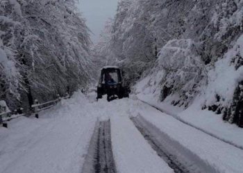 დიდთოვლობის გამო შუახევისა და ხულოს რამდენიმე სოფელს ელექტროენერგია შეფერხებით მიეწოდება