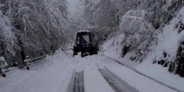 დიდთოვლობის გამო შუახევისა და ხულოს რამდენიმე სოფელს ელექტროენერგია შეფერხებით მიეწოდება