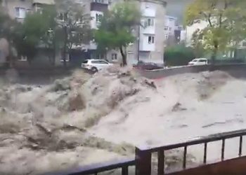 2021 წელს საბერძნეთში სტიქიას 20 ადამიანი ემსხვერპლა, მათ შორის ერთი ქართველი იყო