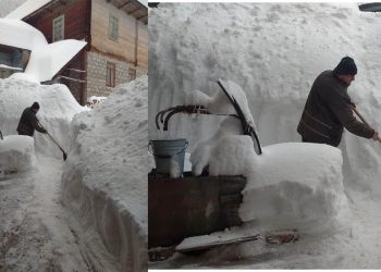 ფოტო – “ხულო დღეს… ბოსელისკენ მიმავალი გზა გაწმენდილია…”