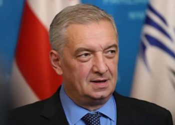 “ნაცმოძრაობა“ ორი ლიდერის ხელში დარჩა და ერთი ბელადის შემყურე.”-ვოლსკი