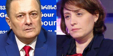 საპროცედურო საკითხთა კომიტეტმა შალვა ნათელაშვილისთვის და ელენე ხოშტარიასთვის სადეპუტატო უფლებამოსილების შეჩერებას მხარი დაუჭირა