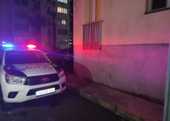 არსებული ინფორმაციით, საკანალიზაციო მილში ნაპოვნი ახალშობილის დედა დააკავეს – ბავშვი სავარაუდოდ გარდაცვლილი დაიბადა