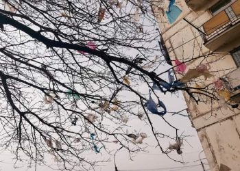 “რუსთავის მერია, ეს არის სირცხვილი! იქნებ, წაიკითხოთ ეს და მიხედოთ საქმეს!” – ნიკა ჩერქეზიშვილი