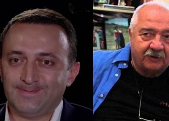 “ღარიბაშვილმა სტურუას ნახევარი მილიონის ღირებულების სახელმწიფო ქონება 1 ლარად გადასცა, რომელიც სტურუამ 221 250 დოლარად გაყიდა” – ვიდეო