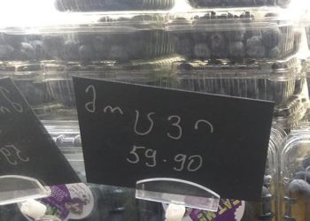 “მოცვის კრეფაში ადამიანებს კაპიკებს უხდიან… პენსია 220 ლარია და 200 გრამი მოცვი 53 ლარი უნდა ღირდეს? ფოტო გადაღებულია გუდვილში” – ზურაბ ბაუჟაძე