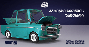 კატებზე ზრუნვის ზამთარი- თეგეტას და Animal Project-ის ახალი საინფორმაციო კამპანია