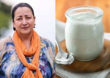 „მაწონი დარეგისტრირიებულ – დაპატნეტებულია, რაც ნიშნავს იმას, რომ ამ სახელწოდება ტერმინს ვერავინ გამოიყენებს საქართველოს გარდა – ანა მიქაძე – ჩიკვაიძე