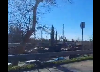 აფხაზეთში რუსული სამხედრო ტექნიკა შედის.. ჩვენი ქვეყნის საფრთხის დონე საგანგაშოს უახლოვდება- არჩილ გამზარდია