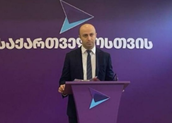 გამოცხადდეს „ოცნება“ სენაკის საკრებულოში და მის კანდიდატს მხარს დავუჭერთ – ბერდია სიჭინავა