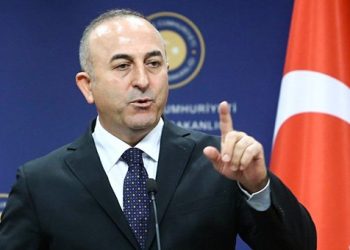 „ჩვენ ამ ომში მონაწილე მხარე არ ვართ“ – თურქეთმა უკრაინის ელჩს თხოვნაზე უარით უპასუხა