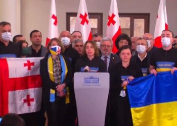 დღეს, საქართველოს პარლამენტში სირცხვილის დღეა – დეკანოიძე