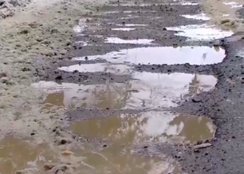 სავარაუდო კორუფცია საგზაო დეპარტამენტში – აჭარასა და გურიაში გზების რეაბილიტაცია “ოცნების”დეპუტატის ოჯახს ანდეს