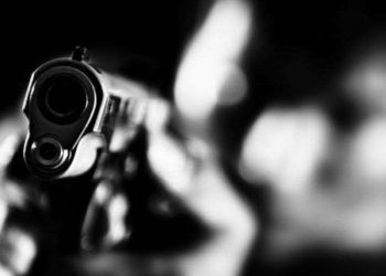 “ოცნების” ხელისუფლებამ პნევმატური იარაღის რეგისტრაციის გარეშე ტარებაც აკრძალა!!!